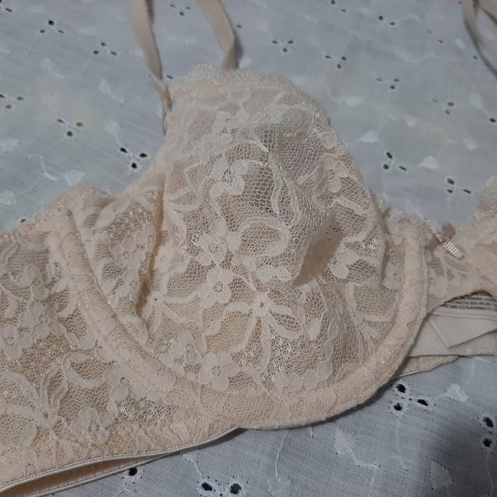 Aerie Floral Lace Bra in Cream